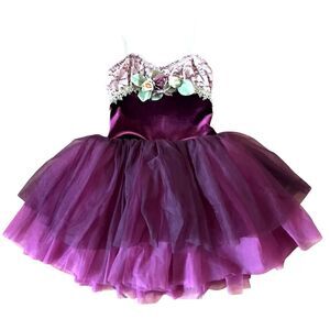 Curtain Call Velvet Tulle Fairy Costume Dress